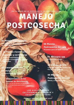 Manejo Postcosecha Revista 01