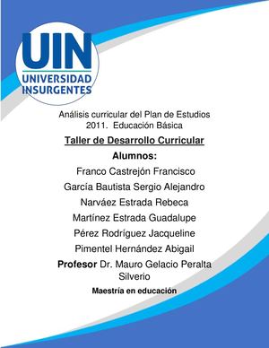 Proyecto Final Analisis Del Plan 2011