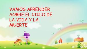 Cartilla ciclo de la vida y la muerte