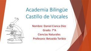 Investigación De Miscrocopio