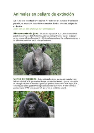 Animales En Peligro De Extincion