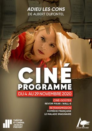 PROGRAMME CINÉMA - NOVEMBRE 2020