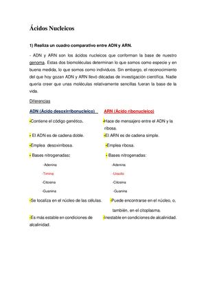 ÁCidos Nucleicos