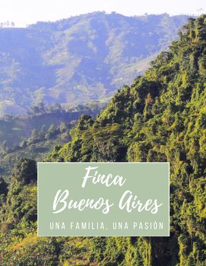 Historia de la Finca Buenos Aires, Pereira