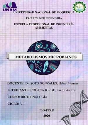 Metabolismos Microbianos