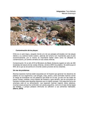 Contaminación De Las Playas
