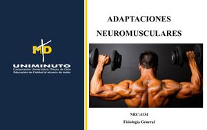 Adaptaciones Neuromusculares