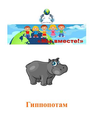 гиппопотам
