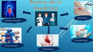 Ramas De La Medicina