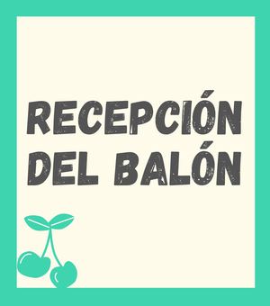 Recepción Del Balón