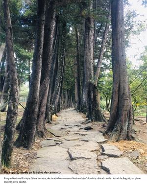 Parque Nacional Enrique Olaya Herrera
