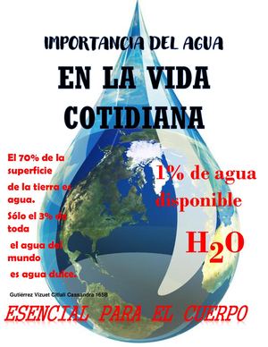 El agua en la vida cotidiana