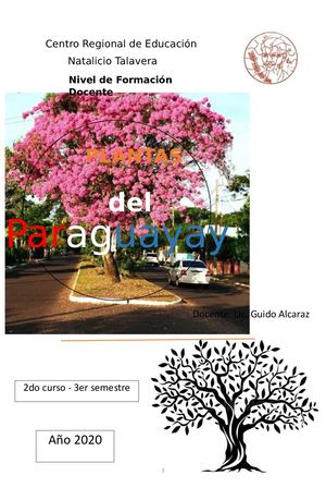 Plantas Del Paraguay