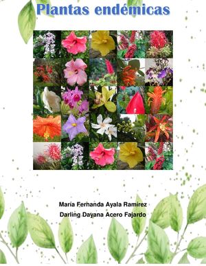 Plantas Endémicas 11b