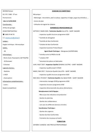 Cv Mezino Romain