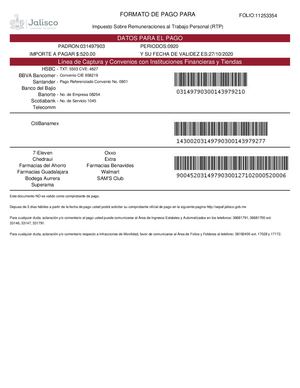 Formato Pago 11253354