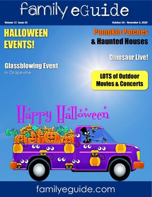 Family E Guide 20201030