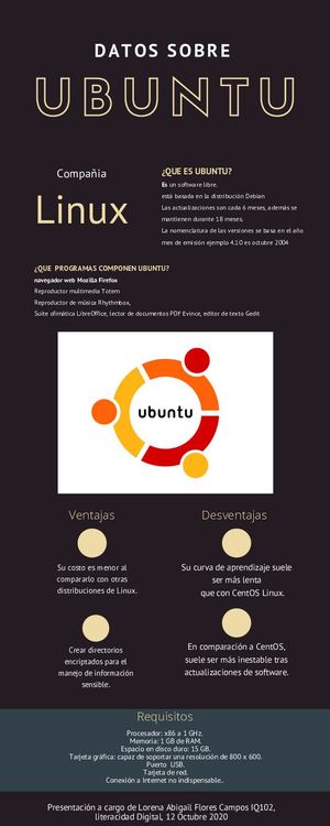 Act4 Infografia Abigail Flores