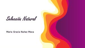Seleccion Natural Iv B