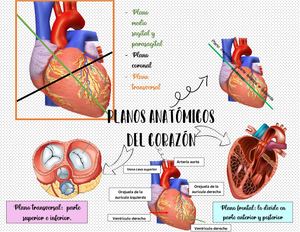Antología de microrrelatos