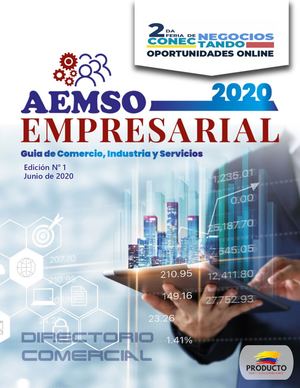 1 Edición Directorio empresarial y comercial Aemso
