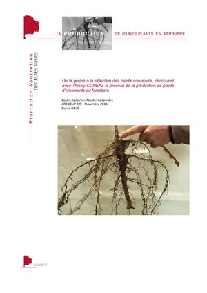 Production plants pépinière