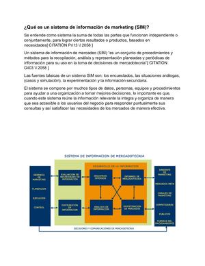 Sistema De Información De Marketing (Sim) Roldan Arturo