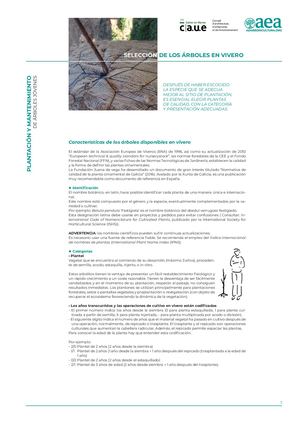 Selección árboles en vivero