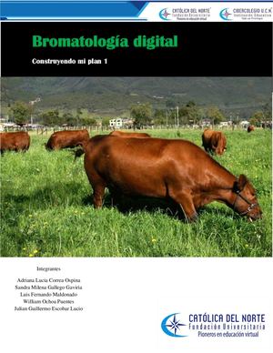 Construyendo Mi Plan 1