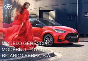 Modelo Gerencial Ricardo Pérez, S A