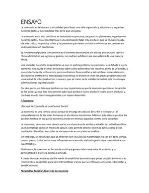 Ensayo Economia