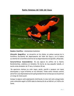 Animales Con Caracteristicas Sorprendentes Significo Sextos