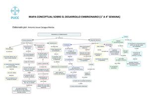 Desarrollo Embrionario
