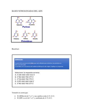 Ejercicio De Genética David Mateo Morán Ponce