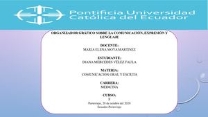 Organizador Gráfico