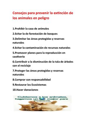 Consejos Para Prevenir La Extinción De Los Animales En Peligro[1]