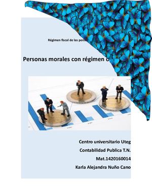 Personas Morales Con Régimen Opcional