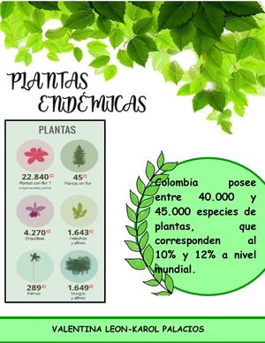Revista Plantas Endemicas