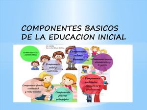 Componentes Basicos De La Educacion Inicial