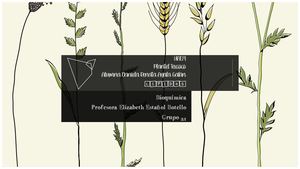 Cuestionario Lipidos????