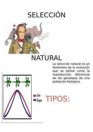Selección Natural (Iv Bime)