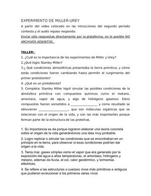 Experimento De Miller