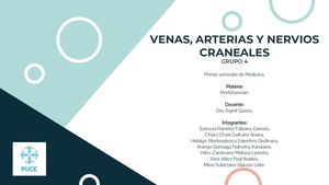 Vasos Sanguíneos Y Nervios Craneales