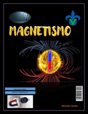 Revista Digital Magnetismo