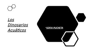 Los Dinosaurios Acuaticos - SOFÍA PUCHETA