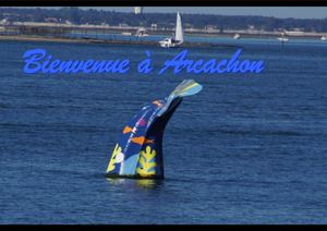 Arcachon 2020