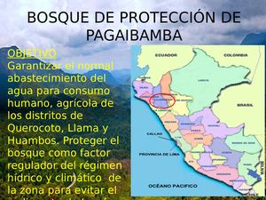 Bosque De Protección De Pagaibamba