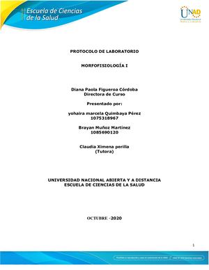Laboratorio Morfofisiologia I Sistema Urinario ,Sistema Reproductor Masculino Y Femenino