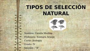 Tipos De Selección Natural