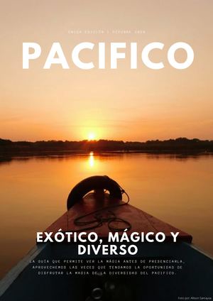 Región No. 7 Pacífico Mágico y Diverso.